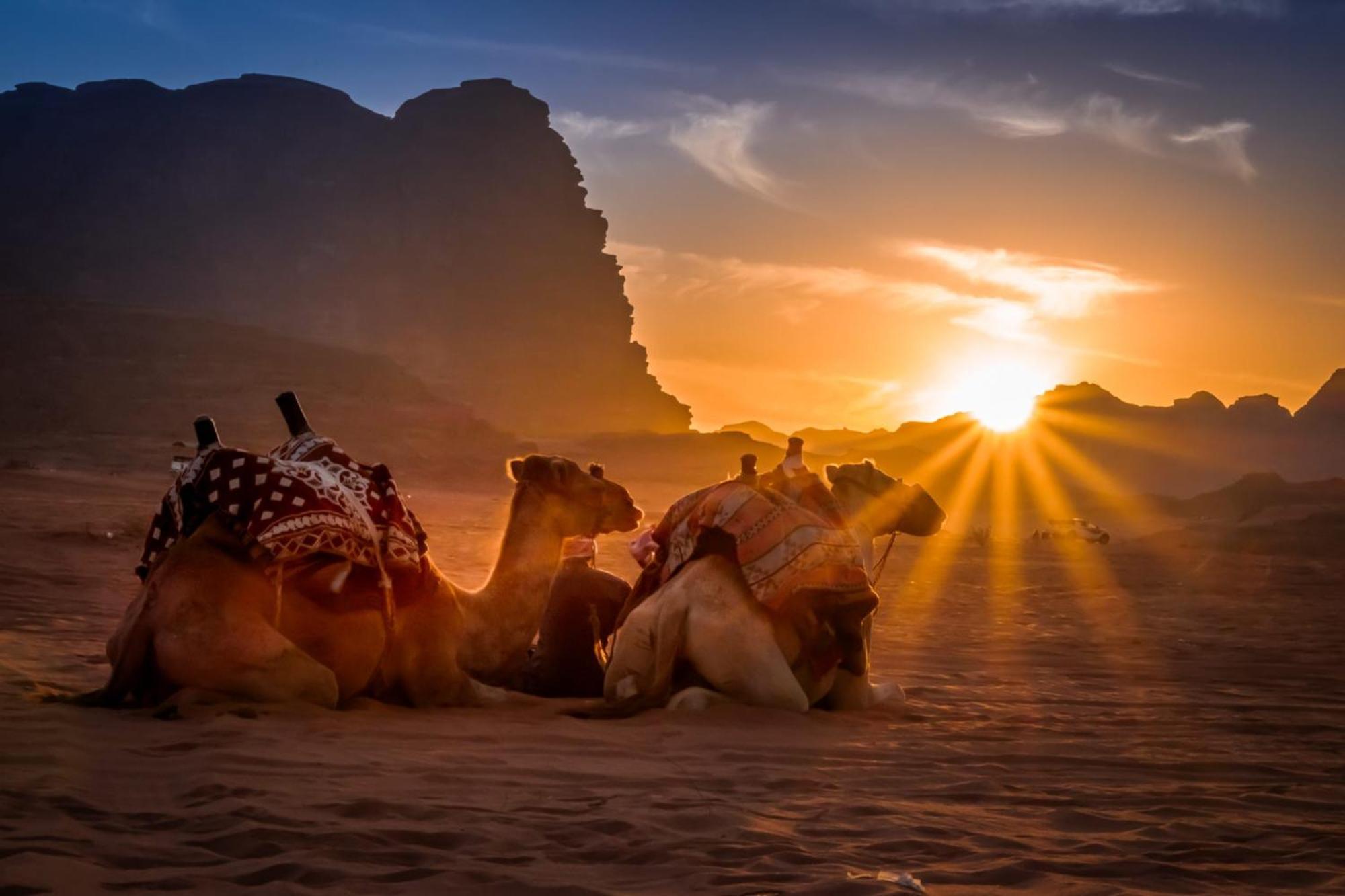 Wadi Rum Caeser Camp Exterior foto
